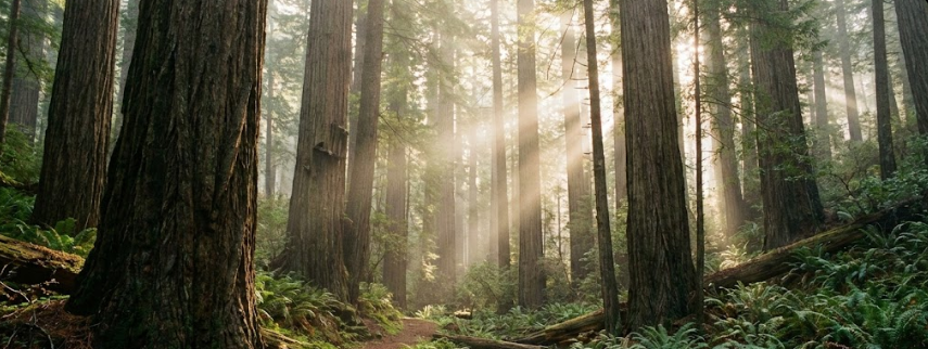 About IonMatrix Power